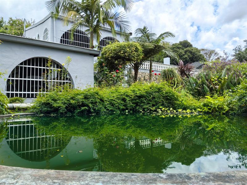 7 Bathrooms, 6 Bedrooms, 5+ Potential Self-Contained Units! - Photo 2