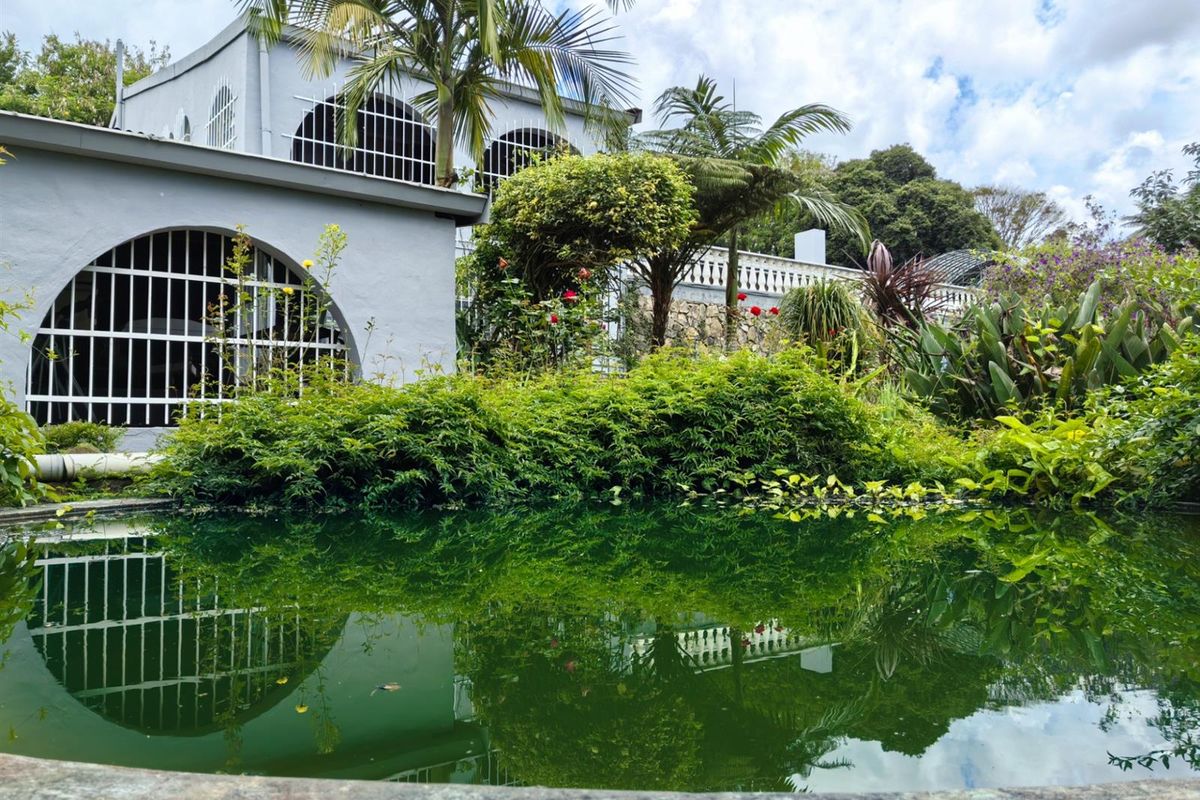 7 Bathrooms, 6 Bedrooms, 5+ Potential Self-Contained Units! - Photo 2