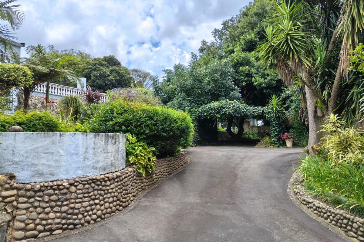 7 Bathrooms, 6 Bedrooms, 5+ Potential Self-Contained Units! - Photo 3