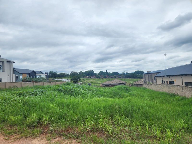 Create Your Dream Home in the Heart of Aqua Park - Photo 5