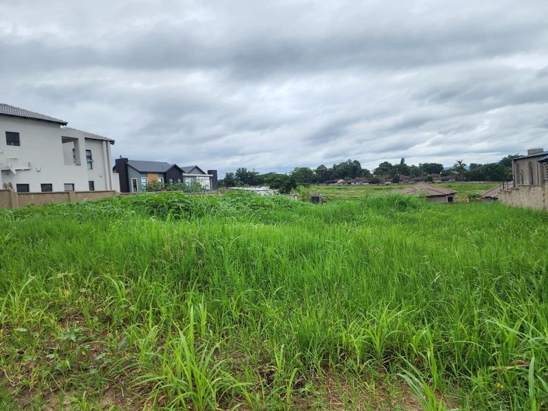 Create Your Dream Home in the Heart of Aqua Park - Photo 8