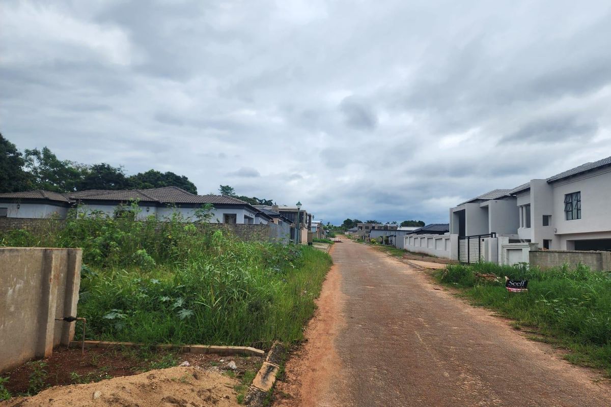 A street view of a residential area featuring a dirt road, surrounding vacant land, and established neighboring properties.