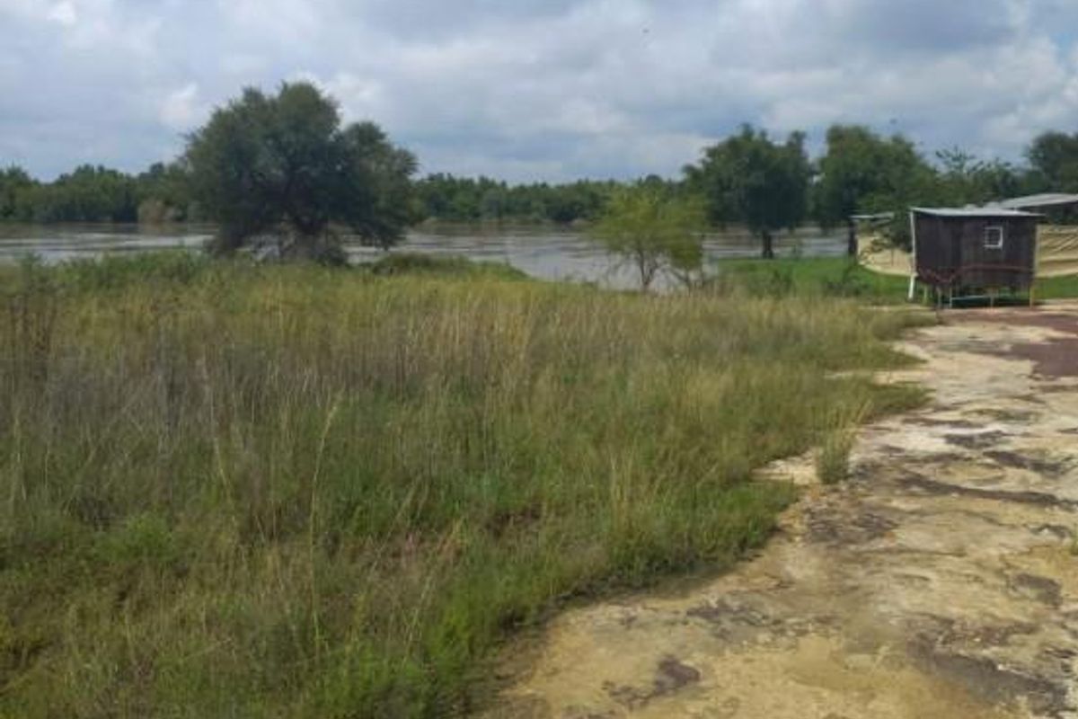 A scenic view of the riverfront area featuring natural vegetation and open land, suitable for commercial development.