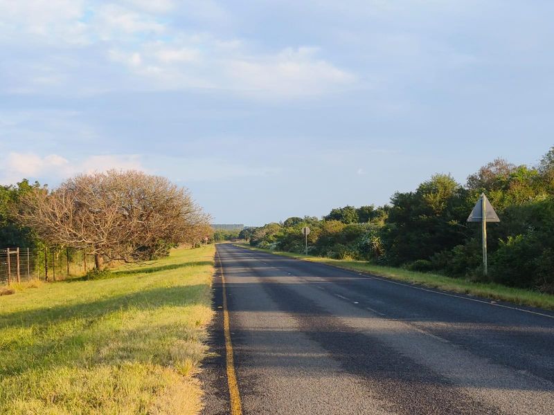 A view of the asphalt road leading towards the residential land, featuring surrounding natural vegetation and roadside fencing.