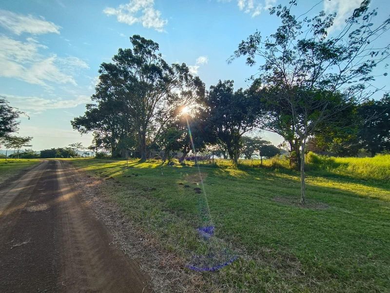 A view of a vacant residential plot featuring a dirt road access, established trees, and open grassy terrain.