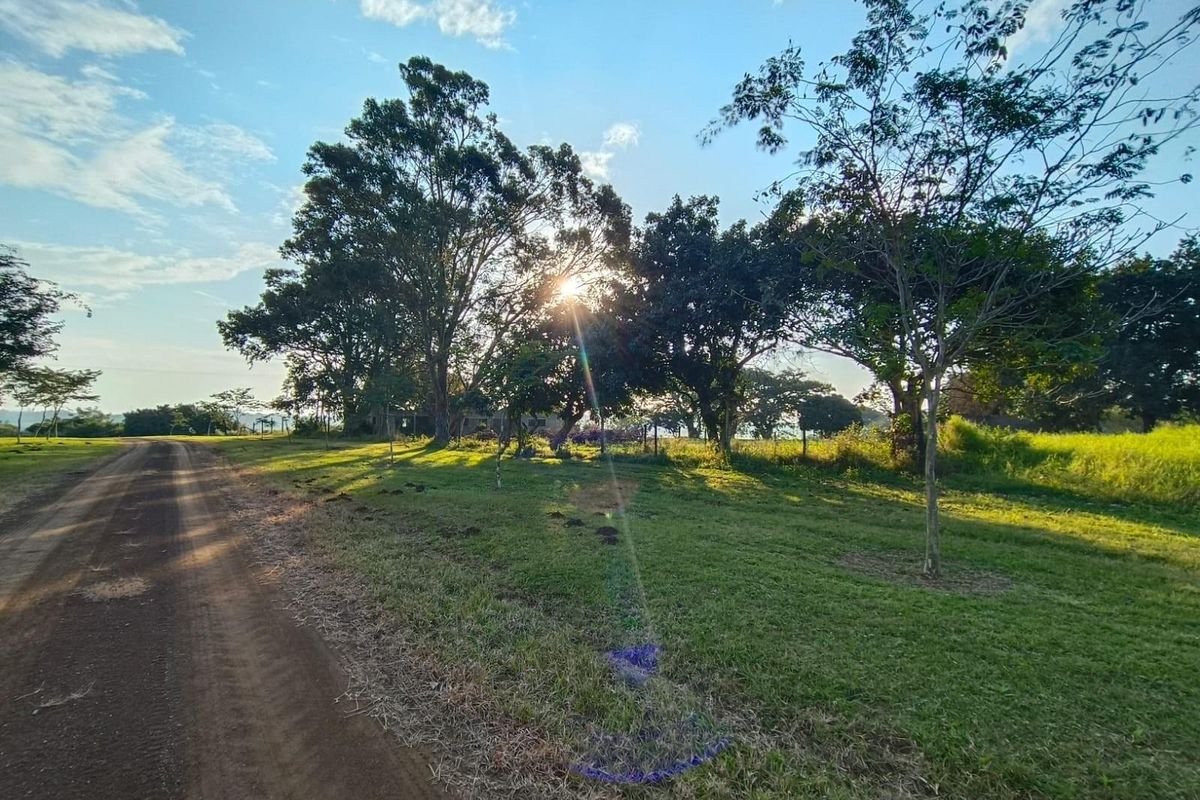 A view of a vacant residential plot featuring a dirt road access, established trees, and open grassy terrain.