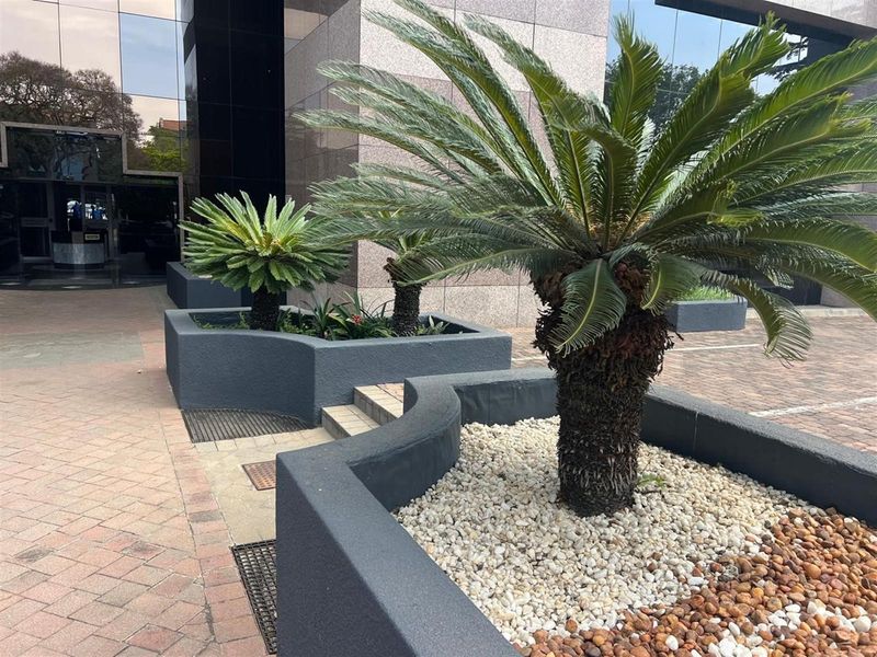 A well-maintained office building entrance featuring paved walkways, modern stone cladding, and landscaped planter boxes with established cycad plants.
