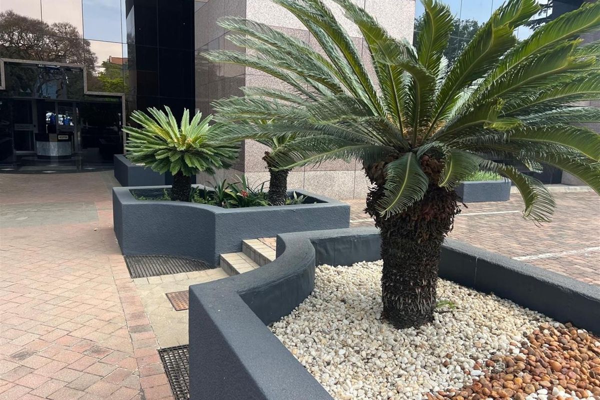 A well-maintained office building entrance featuring paved walkways, modern stone cladding, and landscaped planter boxes with established cycad plants.