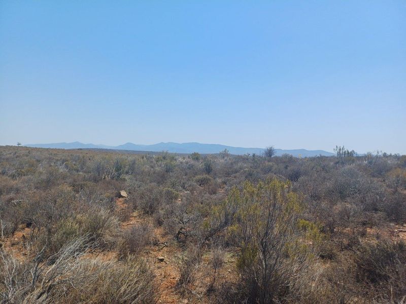 Farm For Sale in Van Wyksdorp, Ladismith - Photo 9