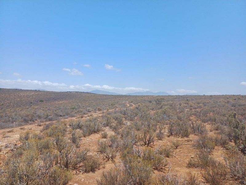 Farm For Sale in Van Wyksdorp, Ladismith - Photo 10