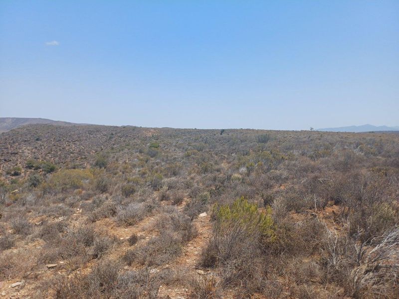 Farm For Sale in Van Wyksdorp, Ladismith - Photo 8