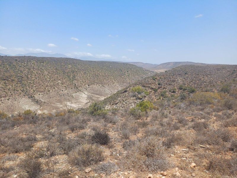 Farm For Sale in Van Wyksdorp, Ladismith - Photo 7