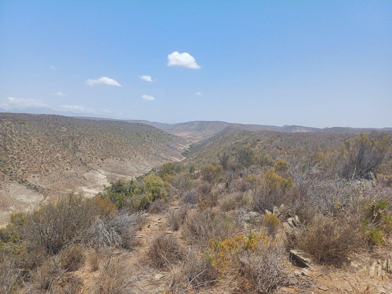 Farm For Sale in Van Wyksdorp, Ladismith - Photo 3