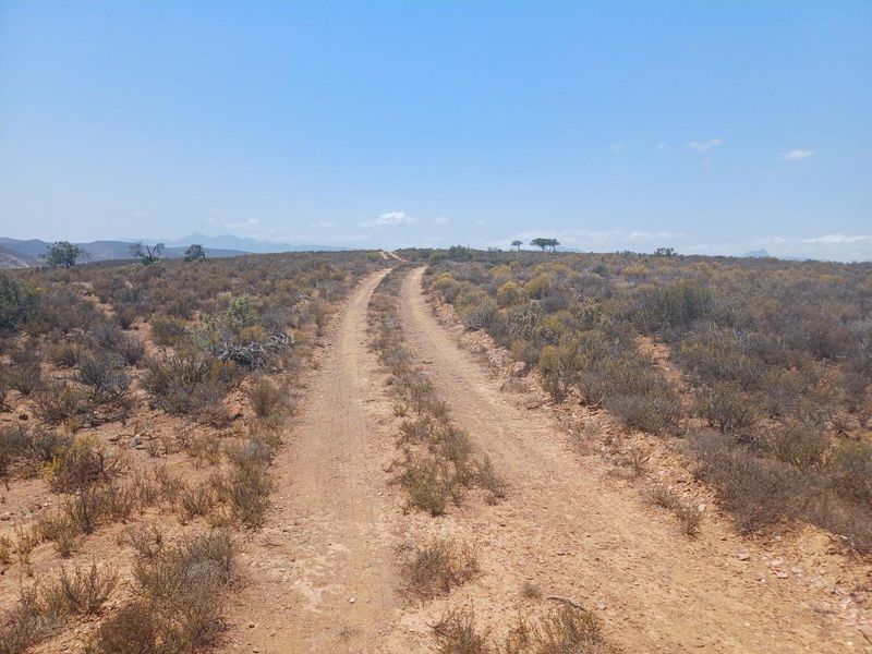 Farm For Sale in Van Wyksdorp, Ladismith - Photo 5