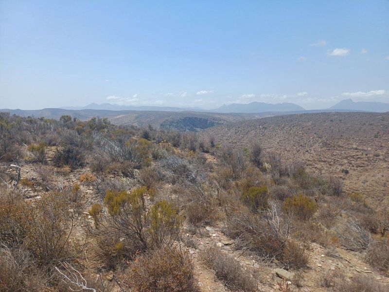Farm For Sale in Van Wyksdorp, Ladismith - Photo 1