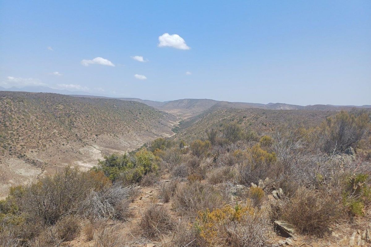 Expansive landscape view overlooking a rugged valley and natural terrain on the farm property.
