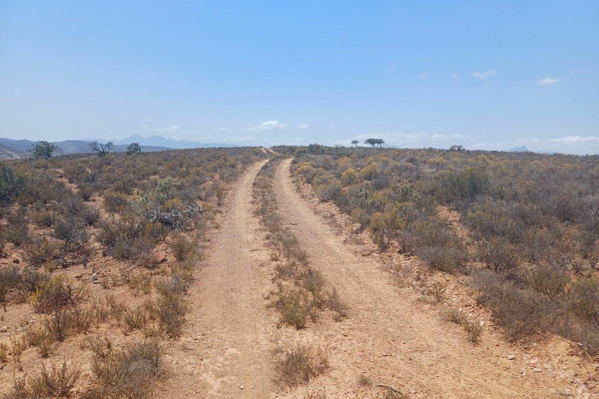 A scenic view of a dirt track winding through the natural landscape of the farm property.