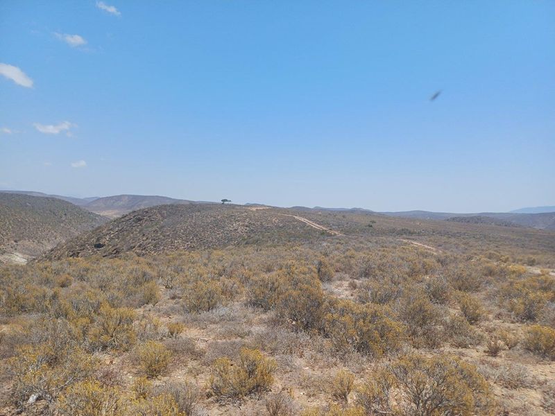 Expansive landscape view of the arid farm terrain featuring rolling hills and natural vegetation under a clear blue sky.