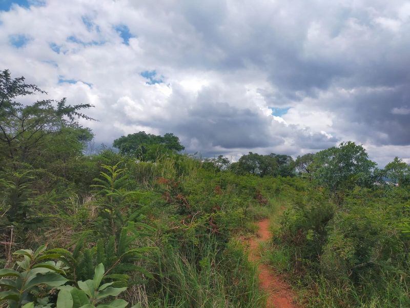 Vacant Land For Sale in Thohoyandou Rural, Mangondi - Photo 10