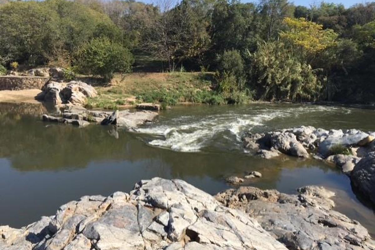 A scenic view of a natural river flowing over rocky terrain, surrounded by lush trees and native vegetation.