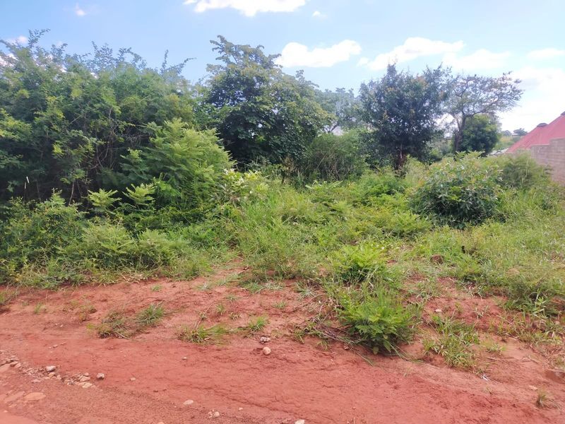 Vacant Land For Sale in Thohoyandou Rural, Makhuvha Tshilivho - Photo 7