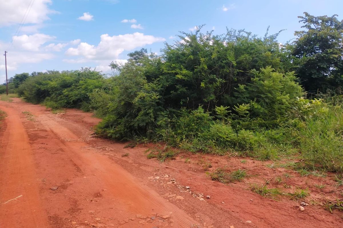 Vacant Land For Sale in Thohoyandou Rural, Makhuvha Tshilivho - Photo 3