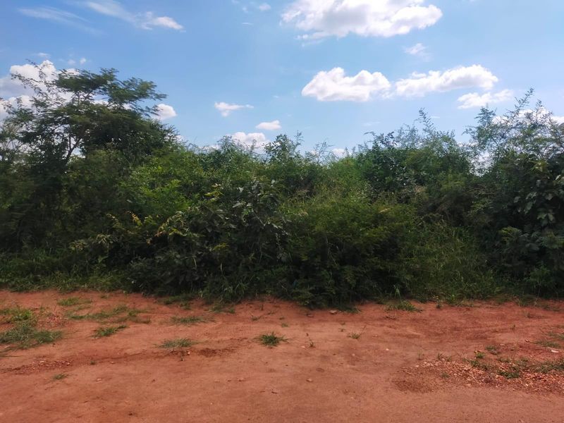 Vacant Land For Sale in Thohoyandou Rural, Makhuvha Tshilivho - Photo 9