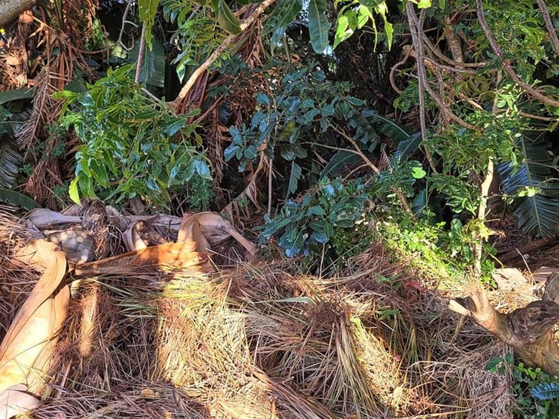 Vacant Land For Sale in St Michaels On Sea, Margate, KwaZulu Natal - Photo 9