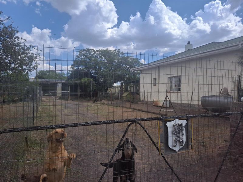 House For Sale in Steynsburg - Photo 5