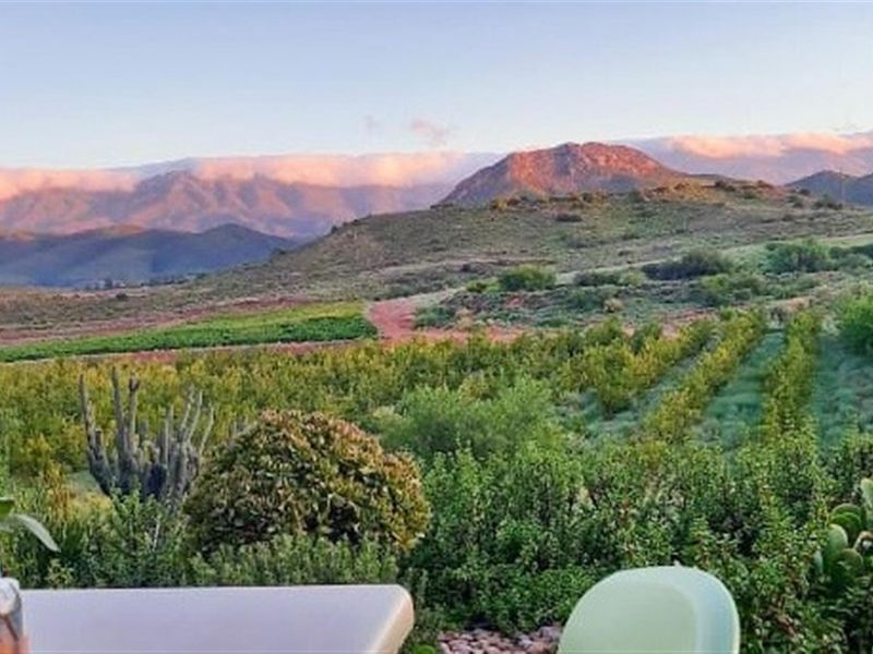 Established Italian Restaurant and Lifestyle Property for Sale on the R62 - Calitzdorp - Photo 9