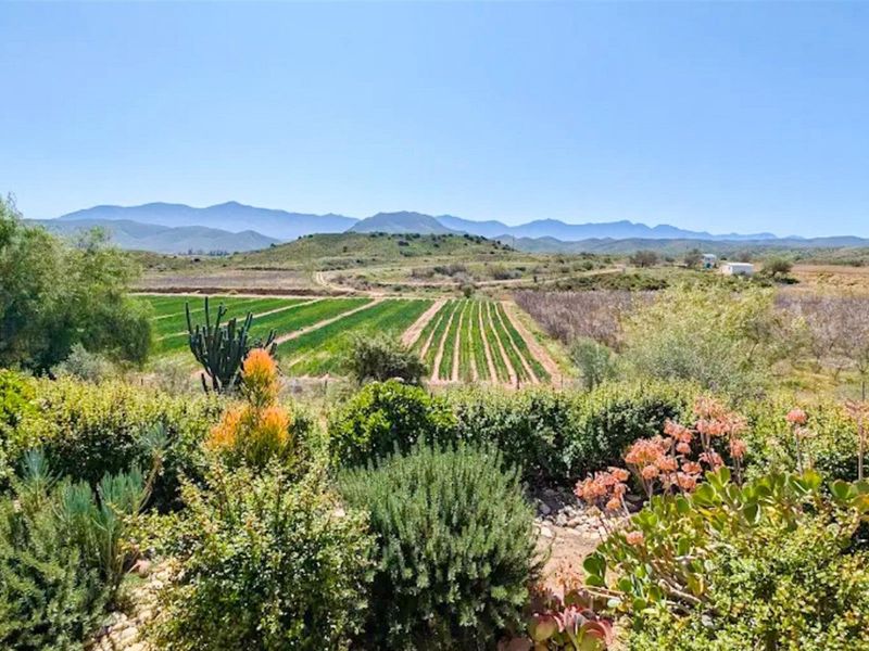 Established Italian Restaurant and Lifestyle Property for Sale on the R62 - Calitzdorp - Photo 8