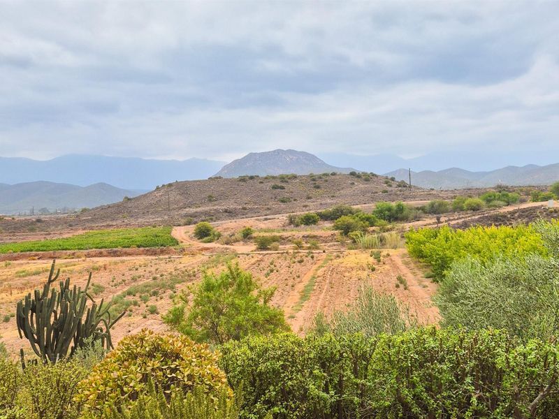 Established Italian Restaurant and Lifestyle Property for Sale on the R62 - Calitzdorp - Photo 6