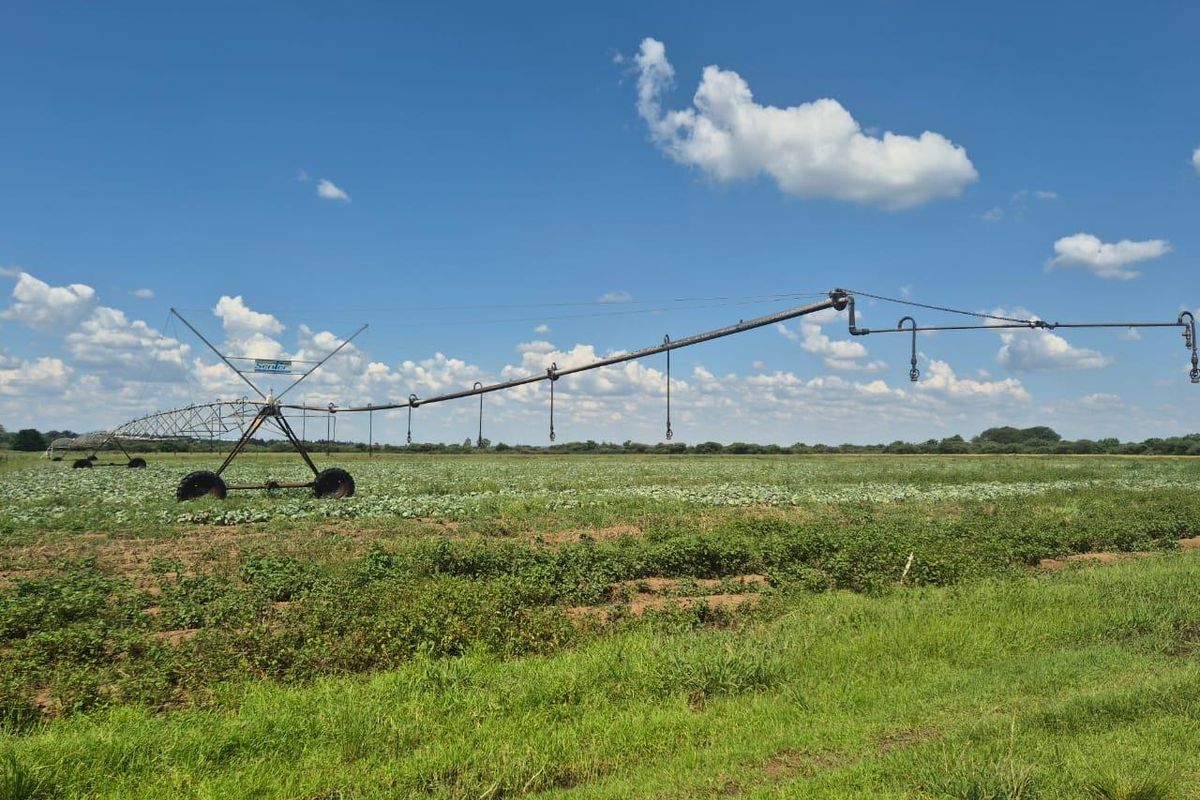 Farm For Sale in Waterval AH, Wonderboom - Photo 3