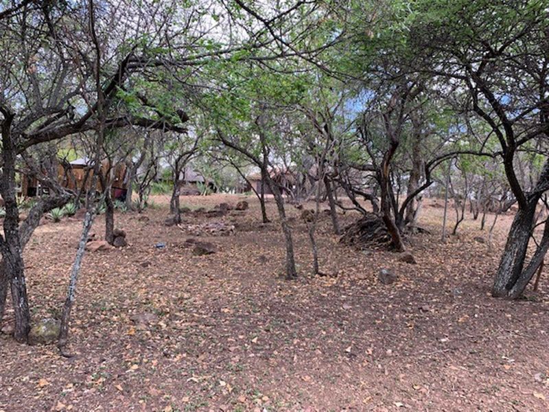 Vacant Land For Sale in Kranspoort Middelburg - Photo 8