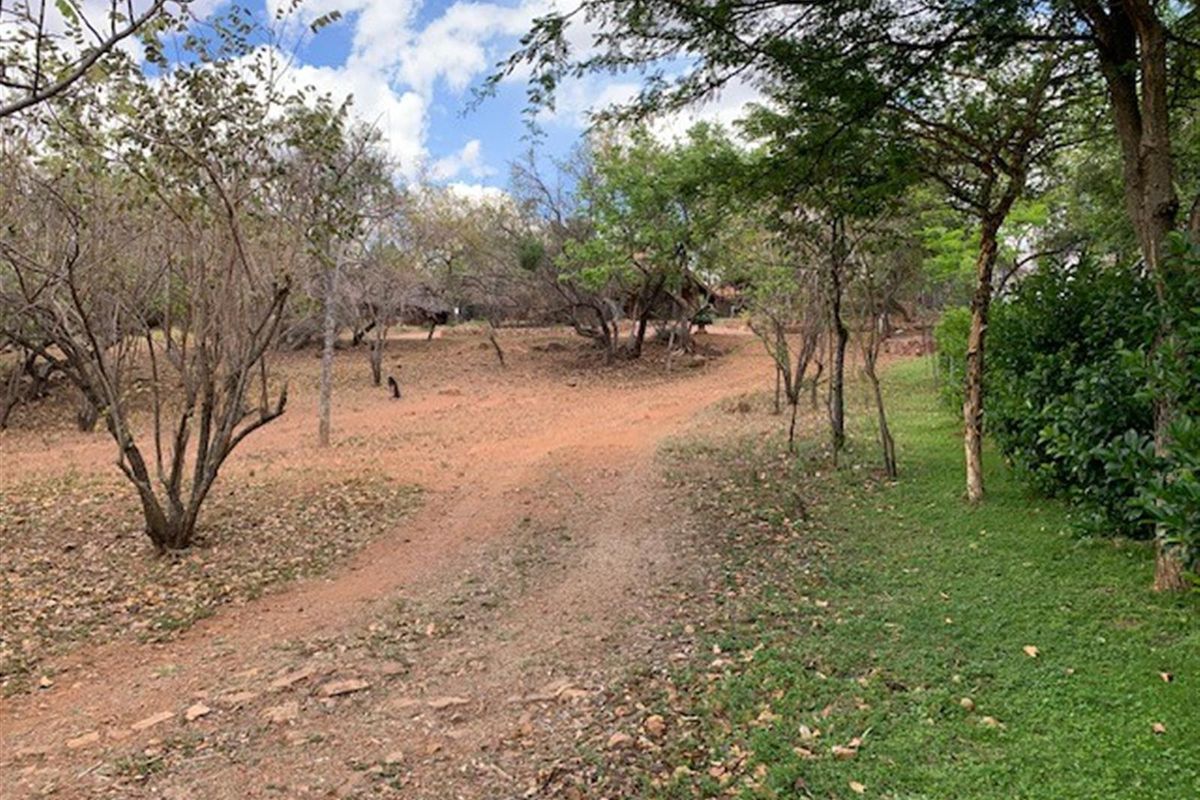 Vacant Land For Sale in Kranspoort Middelburg - Photo 5