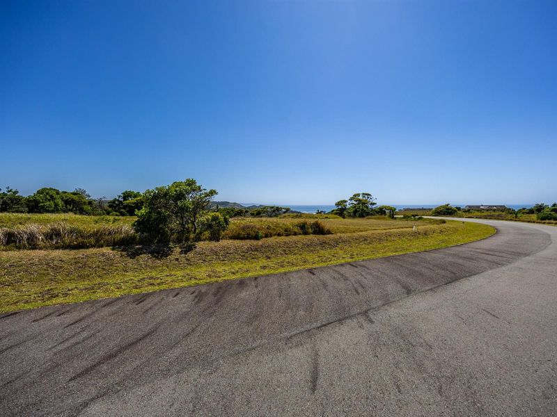 A view of the vacant residential land featuring natural coastal vegetation and a paved access road with distant ocean views.