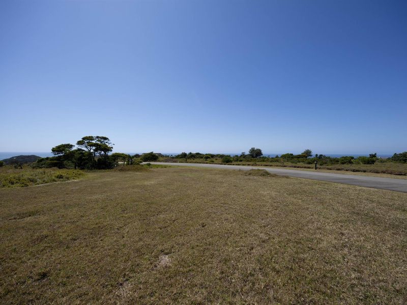 A wide-angle view of a vacant residential plot featuring natural coastal vegetation, open grass, and a paved access road with distant ocean views.