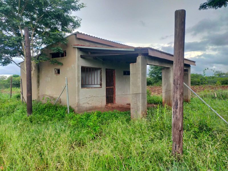 A small, detached structure in need of significant renovation, featuring a corrugated roof, concrete pillars, and security bars, situated on an overgrown plot.