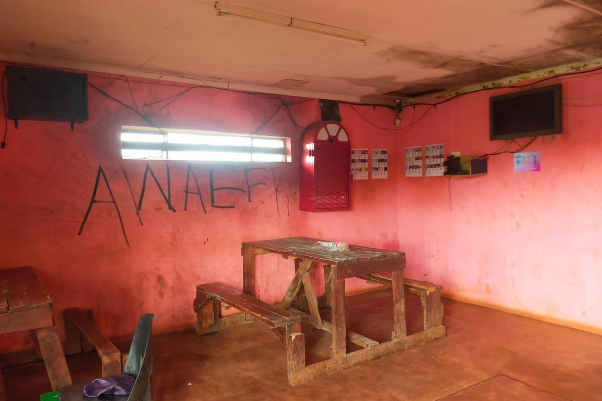 Interior space featuring pink walls with graffiti, visible ceiling water damage, and exposed wiring, requiring significant maintenance and cosmetic renovation.
