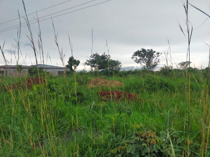 A view of a vacant commercial land plot featuring overgrown grass and visible power lines overhead.