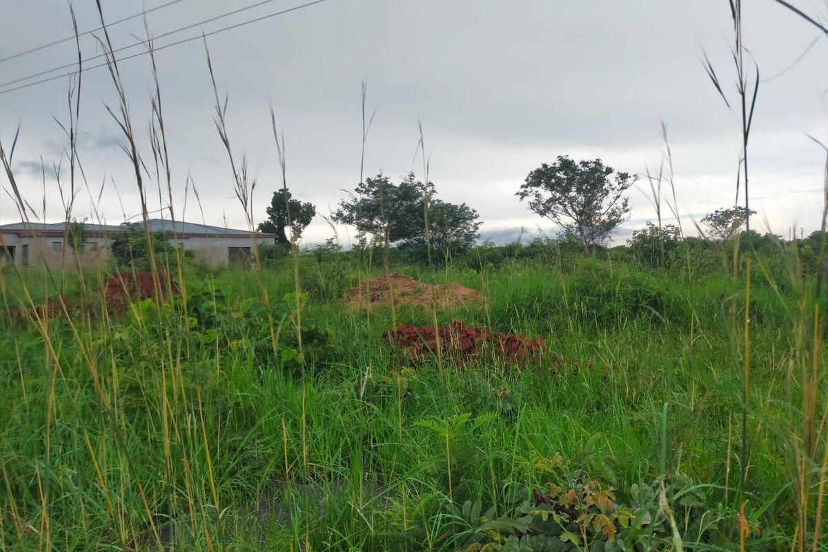 A view of a vacant commercial land plot featuring overgrown grass and visible power lines overhead.