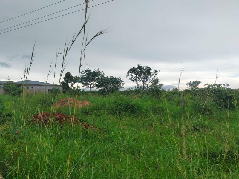 A view of an undeveloped commercial land plot featuring overgrown grass, scattered soil mounds, and overhead power lines.