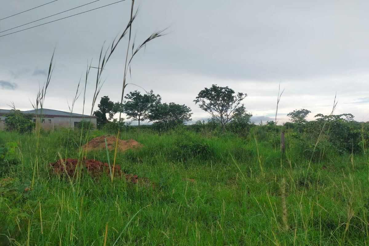 A view of an undeveloped commercial land plot featuring overgrown grass, scattered soil mounds, and overhead power lines.