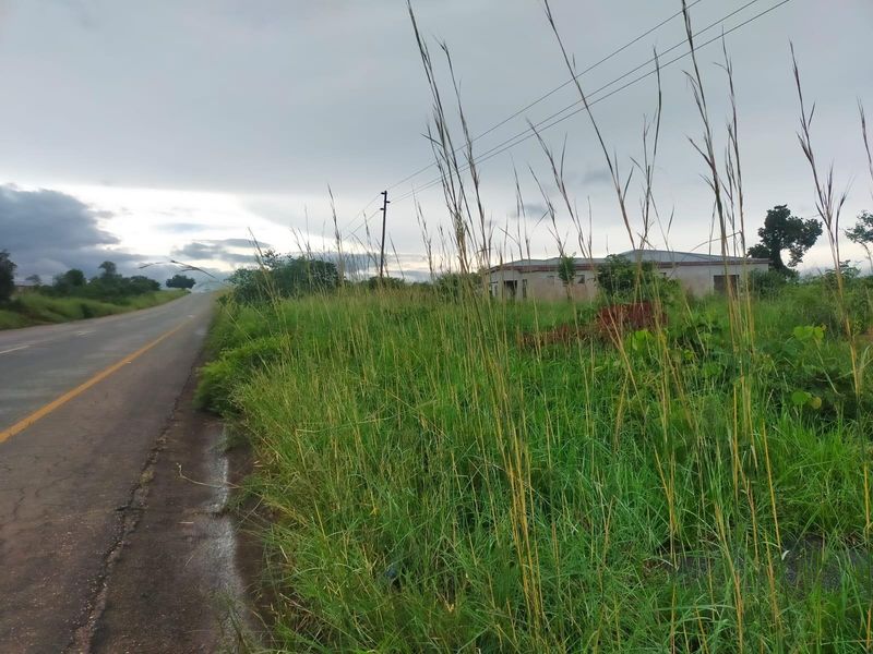 A view of the roadside frontage showing the adjacent vacant land, asphalt road, and overhead utility infrastructure.
