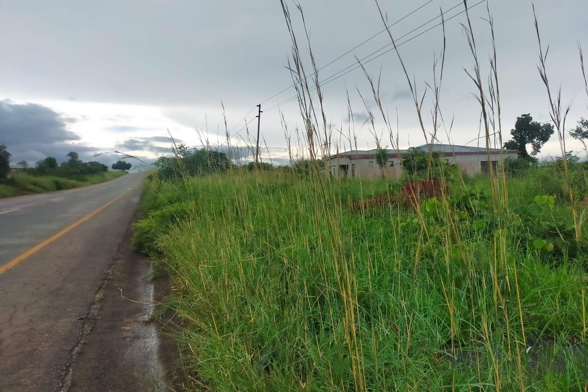 A view of the roadside frontage showing the adjacent vacant land, asphalt road, and overhead utility infrastructure.