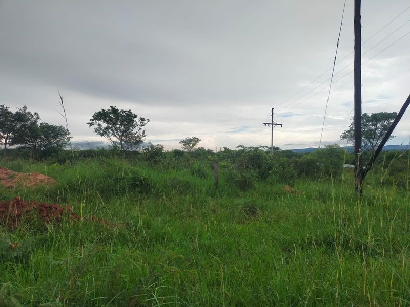 A view of a vacant commercial land plot featuring natural vegetation and existing utility infrastructure including power lines.