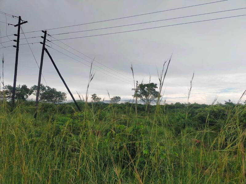 A view of the vacant commercial land featuring natural vegetation and existing overhead utility infrastructure.