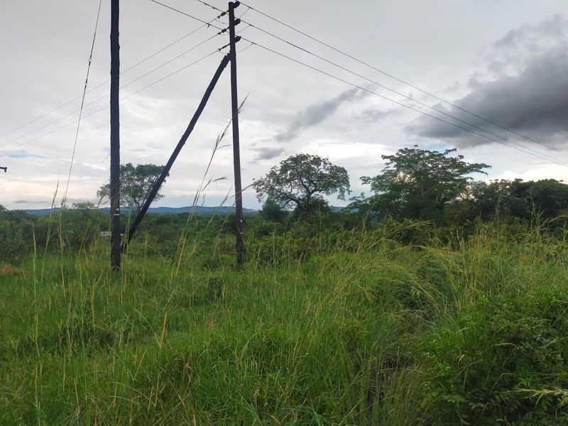 A view of the vacant commercial land featuring natural vegetation and existing utility infrastructure including power poles and overhead lines.