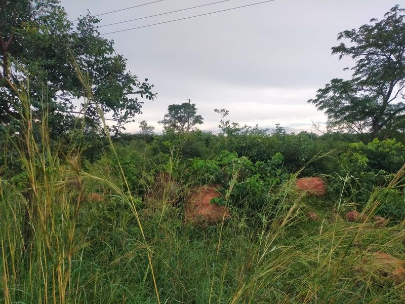 A view of undeveloped vacant land featuring natural vegetation, tall grasses, scattered rock formations, and overhead utility lines.