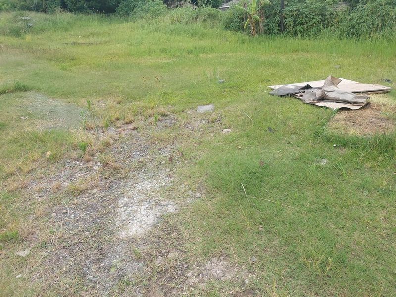 An undeveloped plot of land featuring overgrown grass and natural terrain, suitable for future landscaping or construction projects.